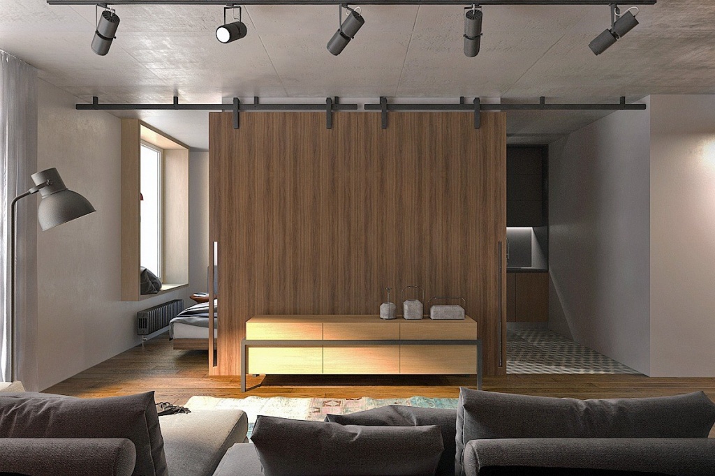 Двойная ниша для кухни и спальни с подвесными дверями в стиле лофт